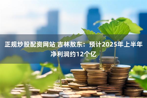正规炒股配资网站 吉林敖东：预计2025年上半年净利润约12个亿